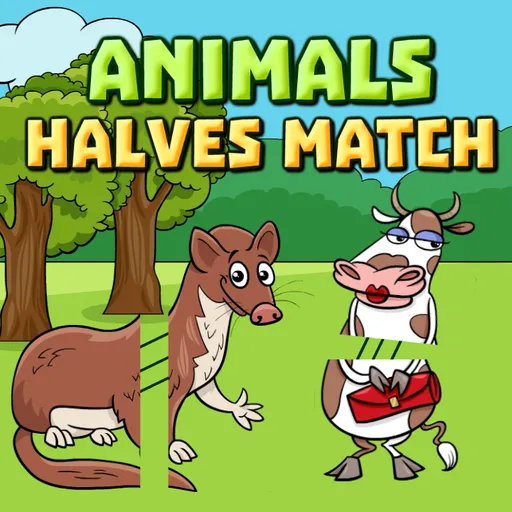 Dieren Halve Match