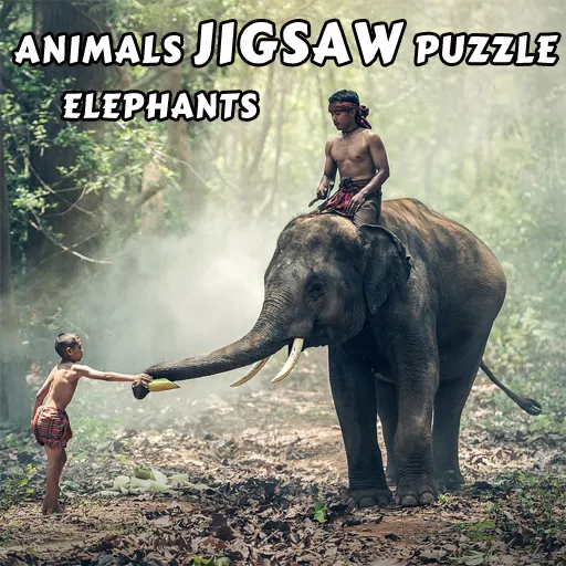 Tiere Puzzle Elefanten