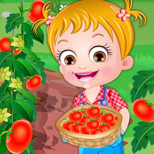 Bébé Hazel Tomate Farming