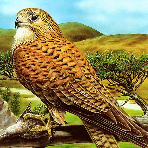Rompecabezas de aves de presa
