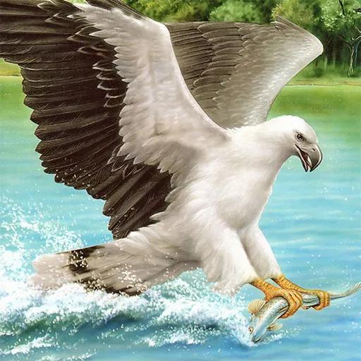 Raubvögel Puzzle