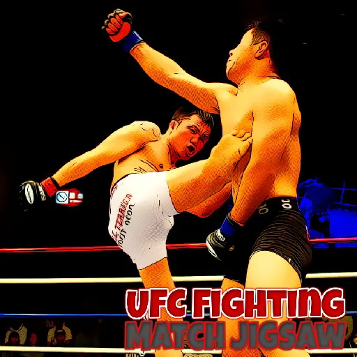 Fighting Match Puzzle