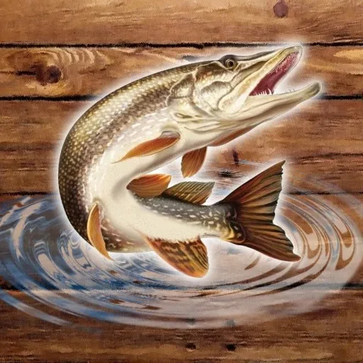 Lluvia de peces