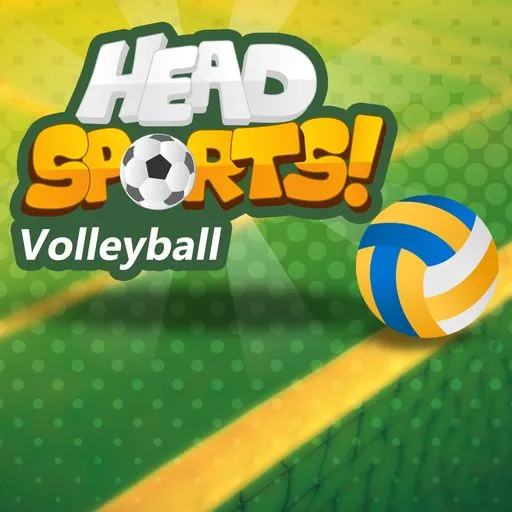 Voleibol Head Sports