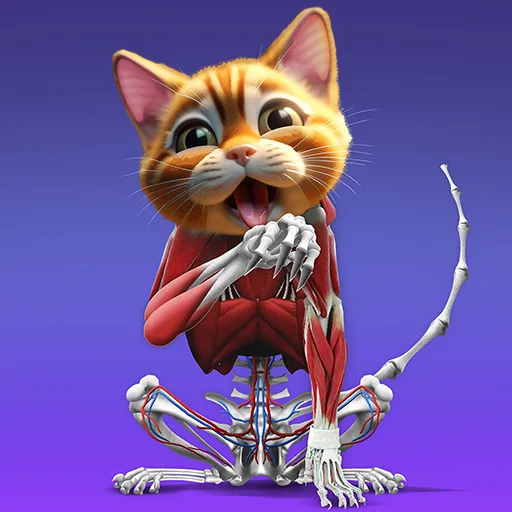 Anatomie animale OISIF