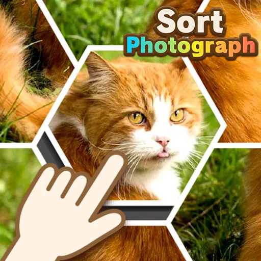 Ordenar fotografía