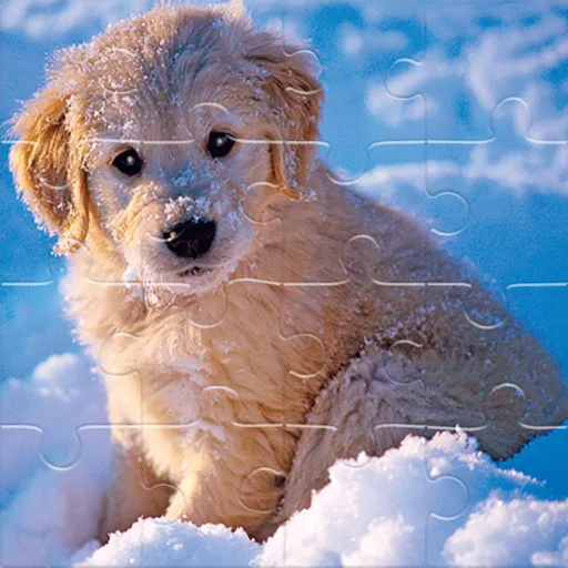 Rompecabezas de mascotas de invierno